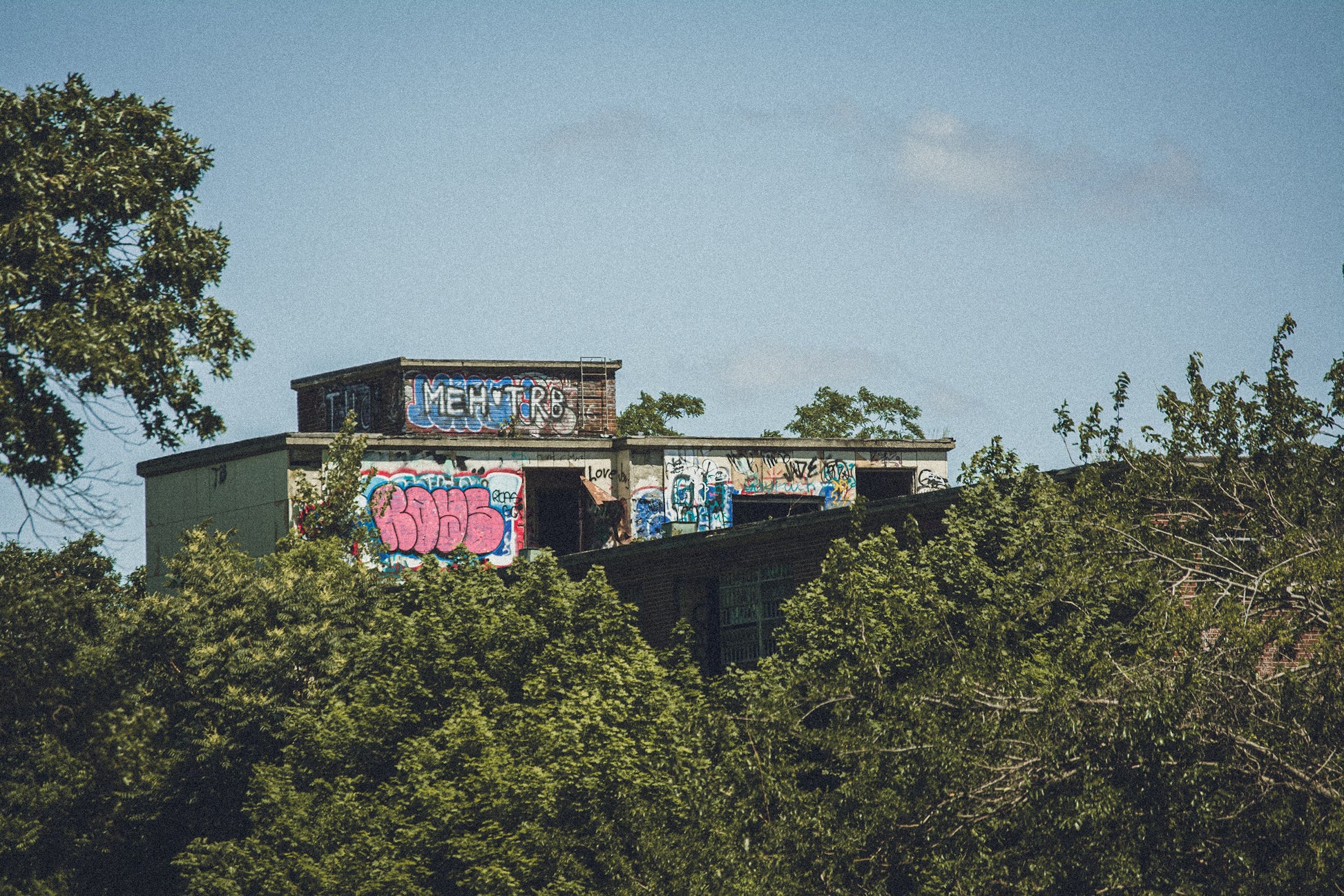 Abandoned building with graffiti on top of a forest